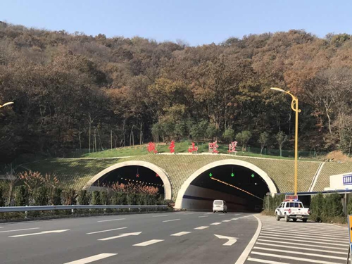 1496193334126087.jpg 5.jpg