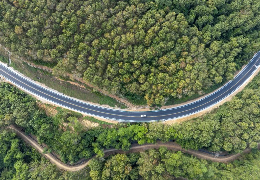 1735802399691768H8CH.png 97d148d4891e4f2ee147301e0194cb3.png